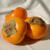 Persimmon